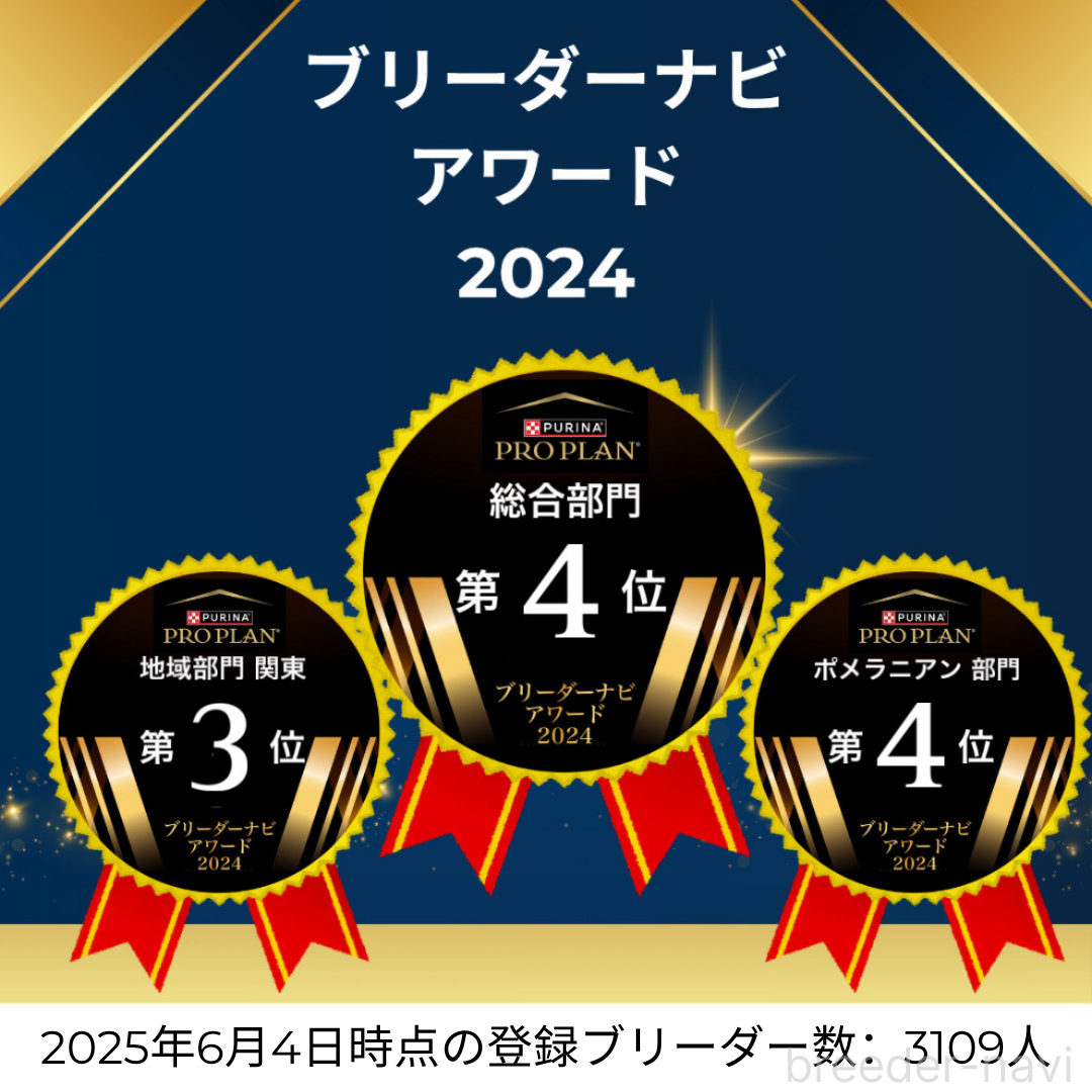 販売中の茨城県のトイプードル-391371の4枚目
